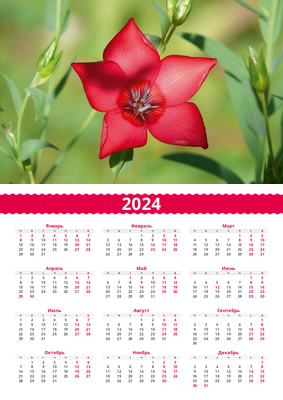 Вертикальные календари-постеры A3 - Аленький цветочек Лицевая сторона